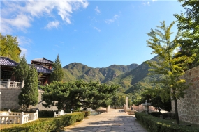 园内风景