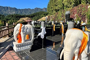 清东陵万佛园环境如何？合法资质与班车服务详解