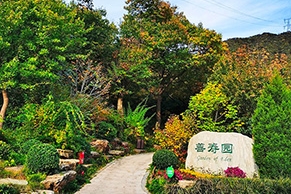 九公山陵园环境如何？合法公墓资质