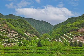 九公山陵园环境如何？地址与开放时间详解