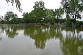 天成湖景色