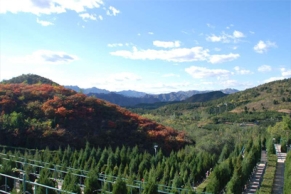 景仰园陵园