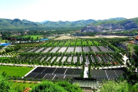 灵山宝塔陵园远景