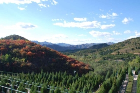 景仰园环境实拍