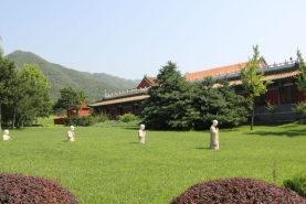 天寿园草坪