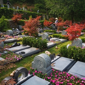 生生相依（家庭式）