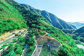 九公山陵园环境如何？合法资质与交通便利兼备