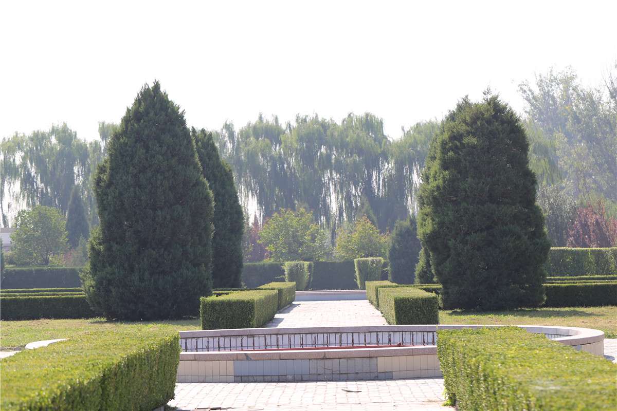 长青园骨灰林环境