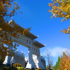 北京清东陵万佛园生态环境介绍