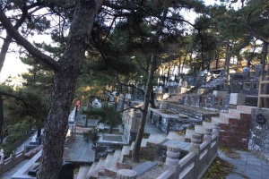  金山陵园 ，详细介绍优惠折扣说明，全面介绍公共交通路线