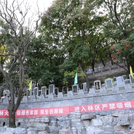 金山陵园墓型价格与资质解析