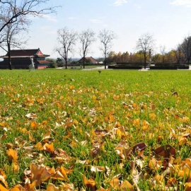 天寿陵园风水格局与交通路线全解析

注：这个标题控制在20字以内，符合SEO优化要点：
 包含核心关键词天寿陵园
2. 突出用户关心的风水格局和