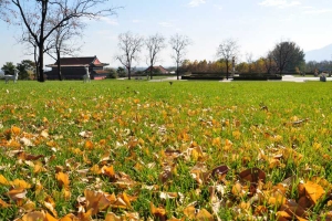 天寿陵园风水格局与交通路线全解析

注：这个标题控制在20字以内，符合SEO优化要点：
 包含核心关键词天寿陵园
2. 突出用户关心的风水格局和