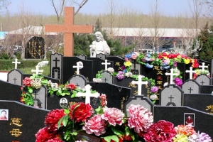 灵山宝塔陵园购墓指南与园林特色解析