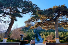 温泉墓园