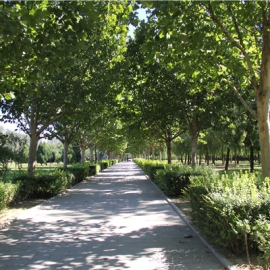 上海外侨公墓：环境优越的涉外陵园优选