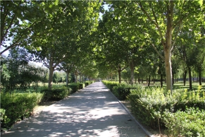 上海外侨公墓：环境优越的涉外陵园优选