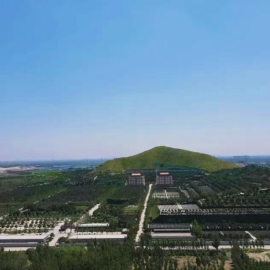 专业对比灵山宝塔陵园各档位墓型优劣解析