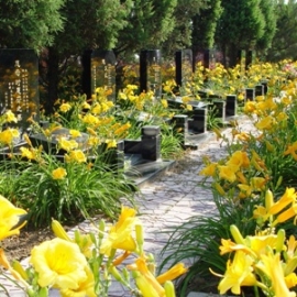 思亲园陵园：传承福泽的安心之选