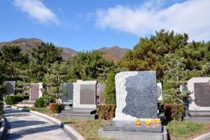 深度剖析：天寿陵园生态环境介绍