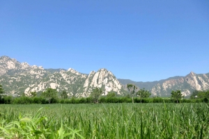 长安园公墓区位优势与环境规划详解