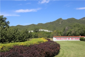  炎黄陵园 ，自驾及公交指引，绿地面积说明