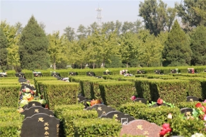 长青园生态陵园交通指南与人文景观导览