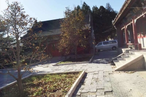 金山陵园墓型价格与环境实景对比