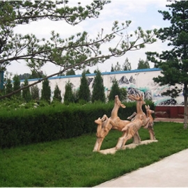 天堂公墓位置指南及交通路线详解