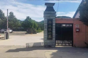 必看精选： 西北旺公墓 选墓必读指南