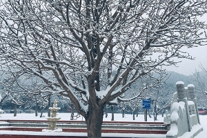  怀柔凤凰山陵园 ：不同墓型价格对比，联系电话多少？