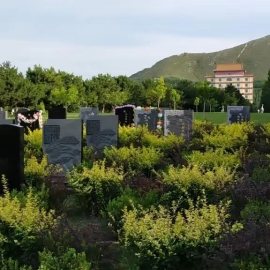 灵山宝塔陵园，怎么坐车？风水格局评析