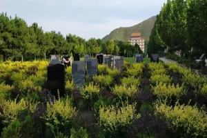 灵山宝塔陵园，怎么坐车？风水格局评析