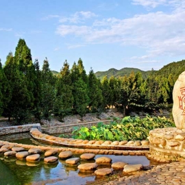 灵山宝塔陵园环境如何？班车怎么预约