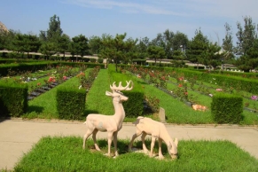  北京长安园公墓地址及交通路线指南  
2. 京郊长安园公墓位置详解与周边环境  
3. 长安园公墓具体位置及自驾乘车攻略  
4. 北京长安园陵