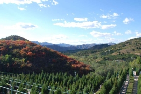 景仰园陵园