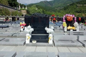 清东陵万佛园，公墓各档位墓地分析对比，客户服务电话