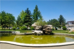 万桐园公墓交通指南及实时路况提示