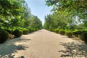  万桐园公墓 ，陵园配套设施一览，全面介绍价格明细解读